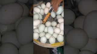 Healthy Boiled Egg Selling 🥚😱 shorts [upl. by Eerdna143]