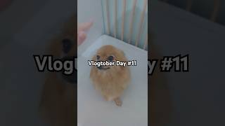 Vlogtober Day 11 🍂 travelday travelvlog traveldiaries vlogtober livingwithatoddler parenting [upl. by Maridel]