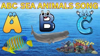 ABC sea animalsABC sea animals song Learn ABC  Phonics for Kids [upl. by Annoyi]