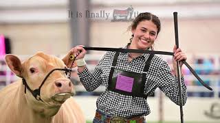 San Antonio Livestock Show 2024 Grand Champion Steer  Georgia Tusa [upl. by Anidene]