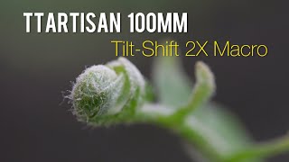 TTArtisan 100mm F28 2x Macro TiltShift Lens A GameChanger for Creative Photography [upl. by Mollee94]