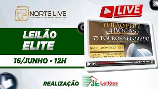 LEILÃO ELITE 4BOCAS [upl. by Ailedua]