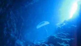 Freediving the Canyon Dahab [upl. by Nyladgam773]