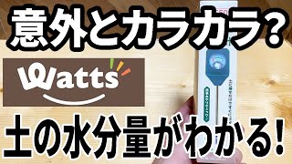 【ワッツ購入品】園芸用の水分計で植木の水不足をチェック！ほんとに使える？ [upl. by Sitto]