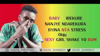 IREKURE BY DAVIS D LYRICS VIDEO [upl. by Ecart]