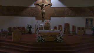 St Maximilian Kolbe Parish [upl. by Heigho]