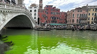 Venise  les eaux du Grand Canal virent au vert fluorescent [upl. by Brass578]