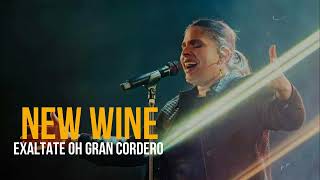 NEW WINE  Exáltate oh Gran CORDERO COVER Marcos Witt 😭😭 [upl. by Aicelet]