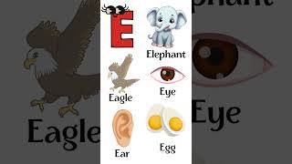 Letter E  Words that start with letter E  Learn ABC  Easy Learning  kids preschooleducation [upl. by Summer23]