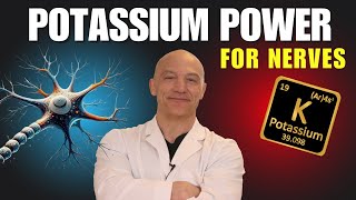 The Surprising Power of Potassium for Nerves  The Nerve Doctors [upl. by Pendergast]