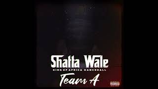 Shatta Wale  Team A SHATTA MUSIC Audio [upl. by Yerocal]