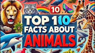 10 Animal Facts [upl. by Aniloj]