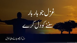 Tu Ne Dekha Hai Kabhi Aik Nazar Shaam Ke Baad  FARHAT ABBAS SHAH  Sad Poetry  Adab aur shayari [upl. by Schoenburg]