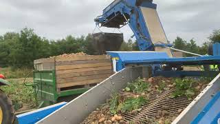 Standen QM Potato Harvester [upl. by Abeu]