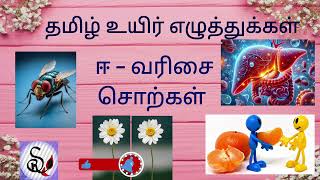 தமிழ் உயிர் எழுத்துக்கள் ஈ வரிசை சொற்கள் tamil uyir eluthukkal ee varisai sorkal Tamil அ ஆ இ ஈ [upl. by Rick]