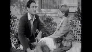 Lassie  Episode 21  quotBlind Soldierquot Originally broadcast 01301955 [upl. by Beata]