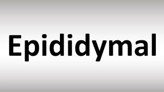 How to Pronounce Epididymal [upl. by Bender]