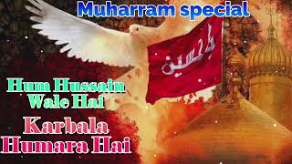 Hum Hussain Wale Hai Muharram special Qawwali 2024 [upl. by Narcis]