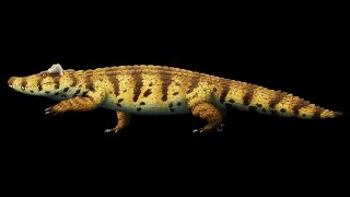 Voay robustus The Extinct Horned Crocodile of Madagascar [upl. by Tavis664]