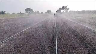 🌧️ Rain Pipe Irrigation System AgriVegri [upl. by Latsirc345]