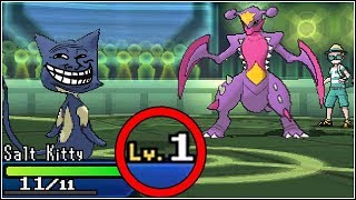 ★EPIC PURRLOIN SWEEP★ LEVEL 1 TROLL [upl. by Aztirak]