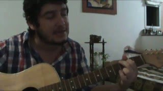 Sudestada  Gustavo Cerati COVER [upl. by Iznik555]