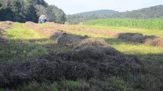 Baling hay with the ford 8830 and New Holland BB940 [upl. by Florence]