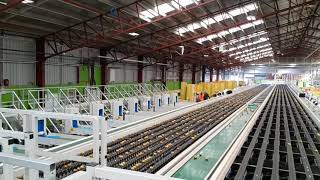 Work in Kiwifruit Packhouse in New Zealand [upl. by Desmond]