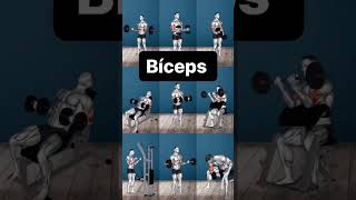 Meilleurs exercices pour les Biceps [upl. by Enwad]