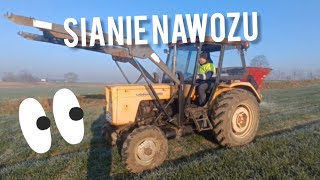 sianie nawozu na pszenice 🚜ursus c 360 z lejkiem🚜 [upl. by Illene300]