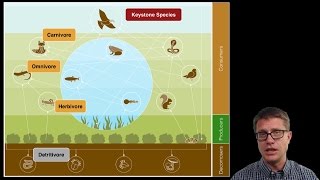 Ecosystem Ecology [upl. by Benisch]