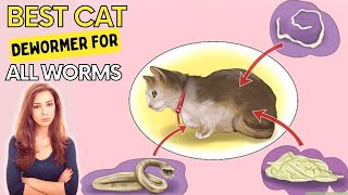 Best Cat Dewormer For All Worms  Eliminates All Parasites Within 1 Week [upl. by Kamal781]