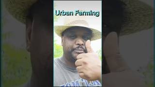 Urban Farming urbanfarming gardening agriculturaljustice growyourownfood [upl. by Onilatac606]