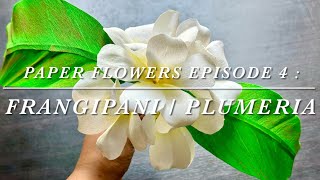 SERIES 1 PAPER FLOWERS EPISODE 4 FRANGIPANI  PLUMERIA [upl. by Celestina239]