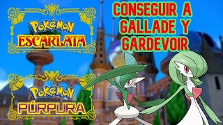 COMO CONSEGUIR A GALLADE Y GARDEVOIR EN POKÉMON ESCARLATA Y PÚRPURA  DekaMaku [upl. by Symer]