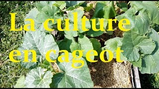 La culture en cageot permaculture [upl. by Jameson]