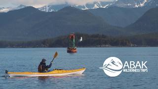 Paddle with Whales Kayak Adventure with Above amp Beyond Alaska [upl. by Ahsinot916]