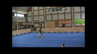 Havanese Jolie amp Canine Freestyle dog dance [upl. by Yllime]