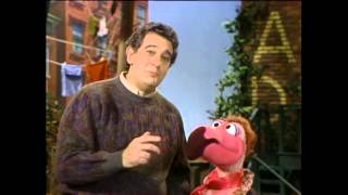 Classic Sesame Street  Look Through the Window Placido Flamingo and Placido Domingo [upl. by Driskill486]