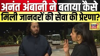 ANANT AMBANI EXCLUSIVE अनंत अंबानी को कैसे मिली जानवरों की मदद की प्रेरणा  Hindi News  N18V [upl. by Lamdin341]