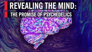 Revealing the Mind The Promise of Psychedelics [upl. by Namsu]