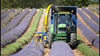 Les Agnels distillerie de lavande en Provence [upl. by Henson293]