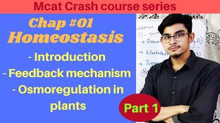 Homeostasis  Osmoregulation in Plants  Feedback Mechanism Part 1  2nd year Biology [upl. by Enilatan]