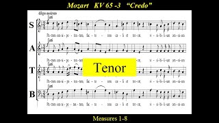 Mozart KV 65  3Credo  Missa Brevis in DMinor  Tenor [upl. by Elesig]