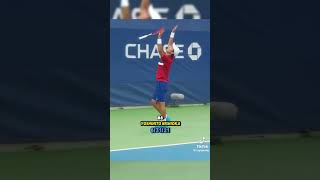 Top 10 Tennis Trickshots Part 1 [upl. by Lladnik906]