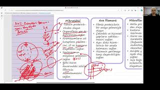 TYT 2025 Hücre İskeleti [upl. by Eimyaj]