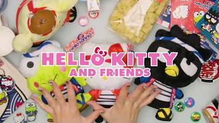 Hello Kitty Birthday Party Ideas [upl. by Kulsrud563]