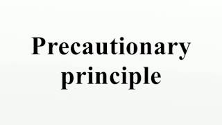 Precautionary principle [upl. by Ozzy]