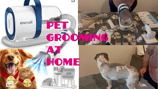 I Groomed my Dog with ONEISALL PET GROOMING VACUUM Amazon [upl. by Halsted]