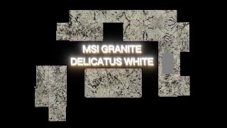 MSI Granite Delicatus White Kitchen Countertop kitchen kitchencountertops [upl. by Cirderf197]